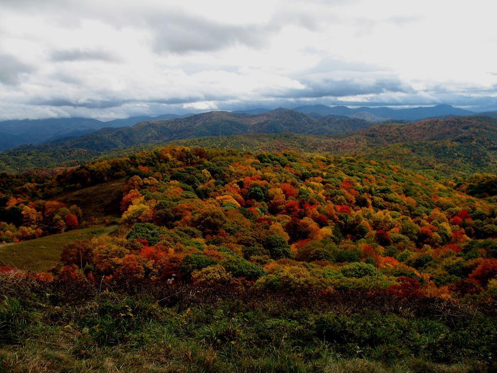 Hampton Inn Asheville - Biltmore Area Esterno foto